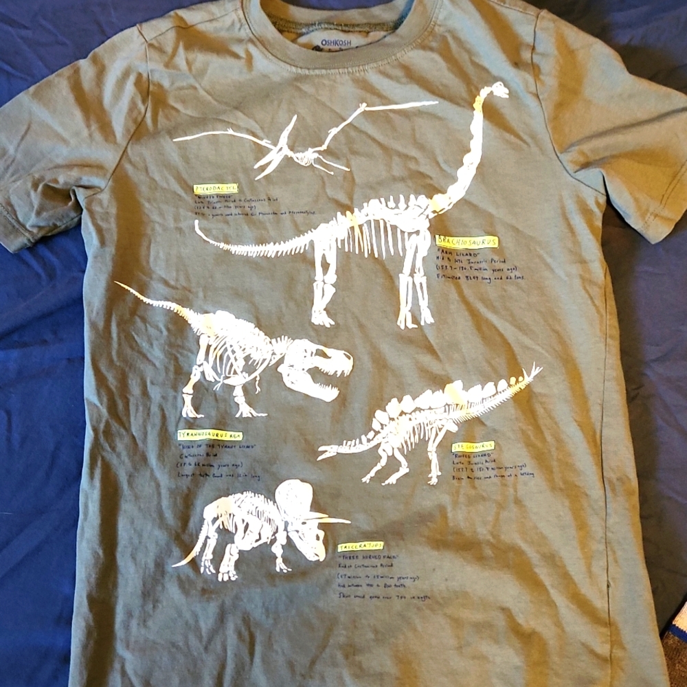 Boys Shirts - short and long sleeve - some never worn